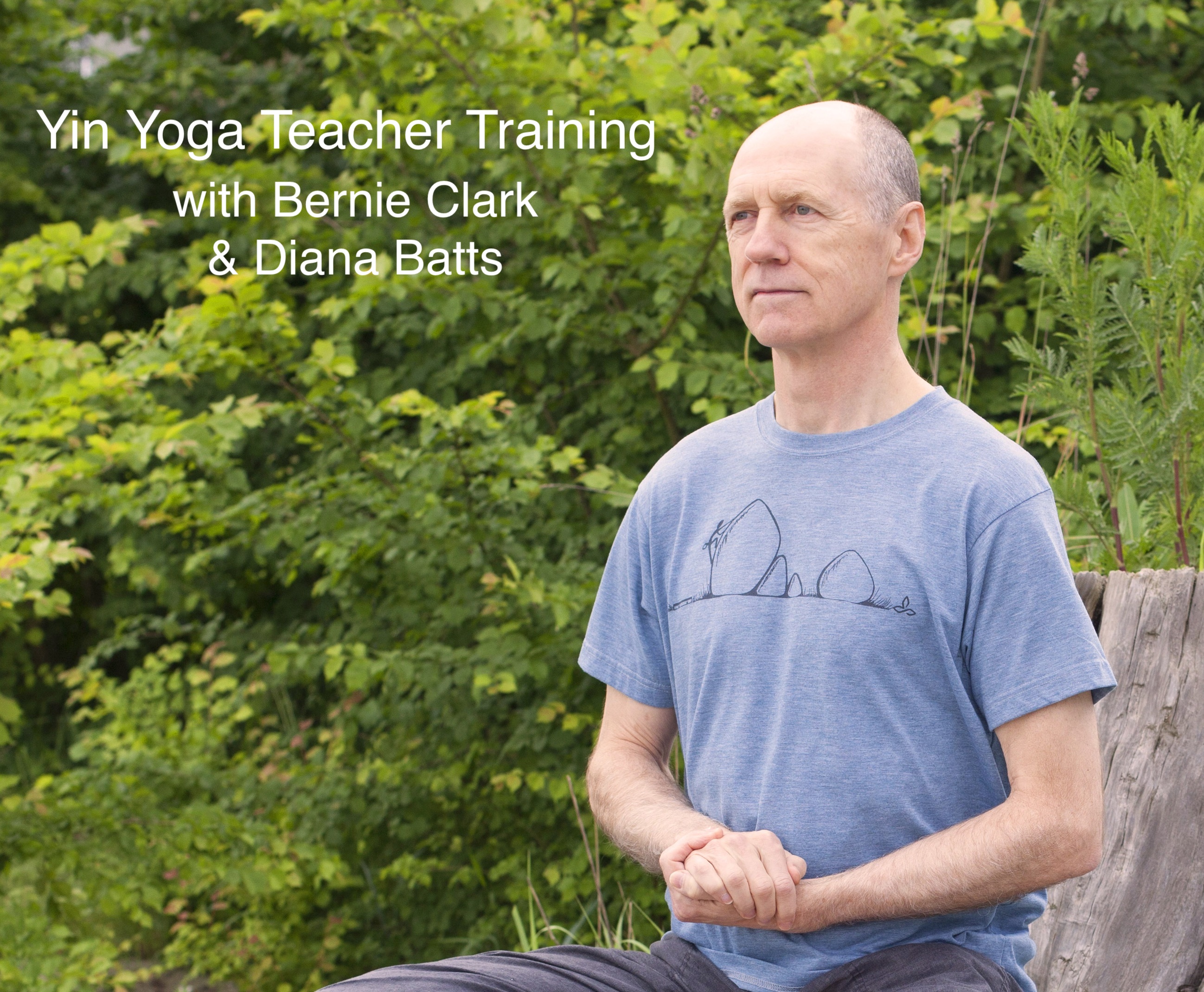Yin Yoga Teacher Training with Bernie Clark and Diana Batts